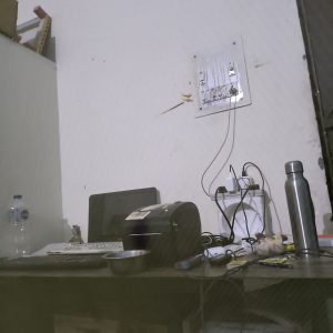 Chinese Banyan — #CHI-002